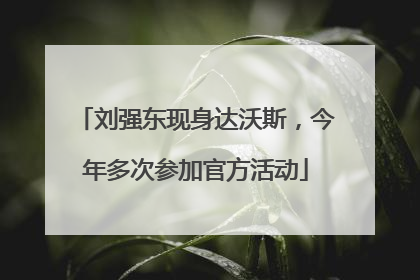 刘强东现身达沃斯，今年多次参加官方活动