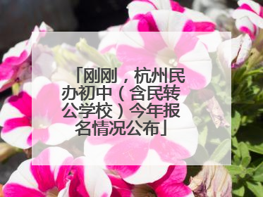 刚刚，杭州民办初中（含民转公学校）今年报名情况公布
