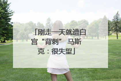 刚走一天就遭白宫“背刺” 马斯克：很失望