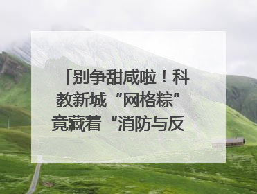 别争甜咸啦！科教新城“网格粽”竟藏着“消防与反诈秘籍”