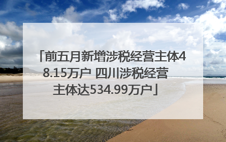 前五月新增涉税经营主体48.15万户 四川涉税经营主体达534.99万户