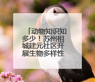 动物知识知多少！苏州相城建元社区开展生物多样性科普活动