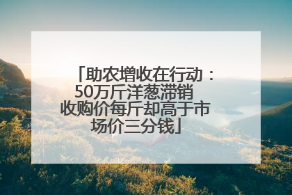 助农增收在行动：50万斤洋葱滞销 收购价每斤却高于市场价三分钱