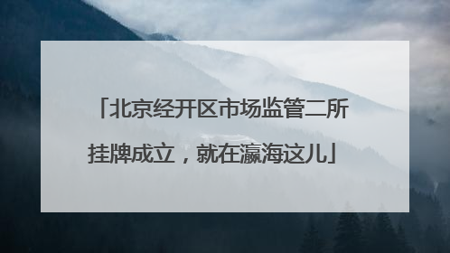 北京经开区市场监管二所挂牌成立，就在瀛海这儿