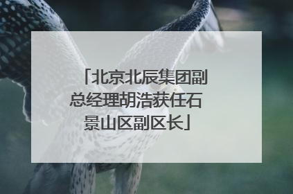 北京北辰集团副总经理胡浩获任石景山区副区长