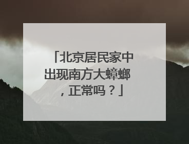 北京居民家中出现南方大蟑螂，正常吗？