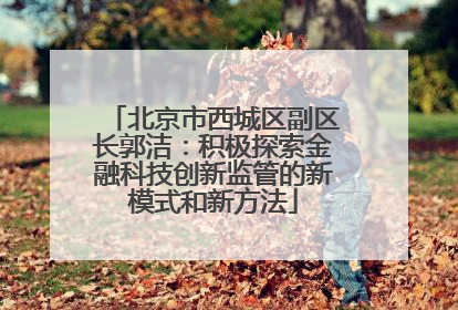 北京市西城区副区长郭洁：积极探索金融科技创新监管的新模式和新方法
