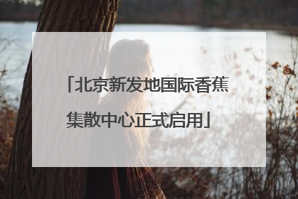 北京新发地国际香蕉集散中心正式启用