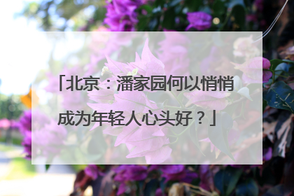 北京：潘家园何以悄悄成为年轻人心头好？