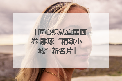 匠心织就宜居画卷 雕琢“精致小城”新名片