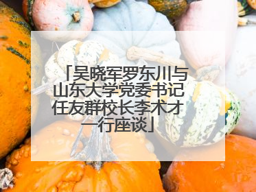 吴晓军罗东川与山东大学党委书记任友群校长李术才一行座谈
