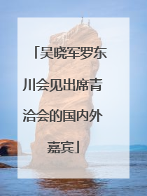 吴晓军罗东川会见出席青洽会的国内外嘉宾