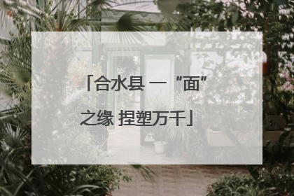 合水县 一“面”之缘 捏塑万千