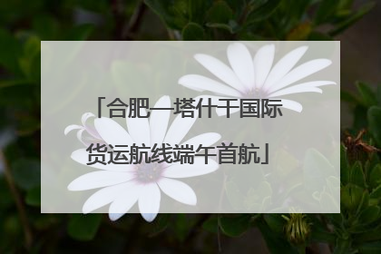 合肥—塔什干国际货运航线端午首航