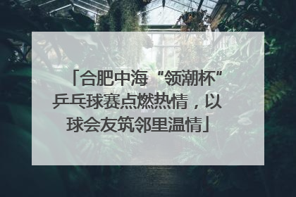 合肥中海“领潮杯”乒乓球赛点燃热情，以球会友筑邻里温情