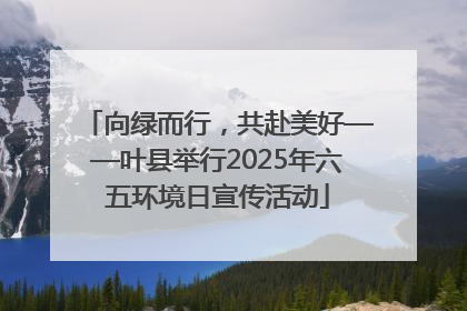 向绿而行，共赴美好——叶县举行2025年六五环境日宣传活动