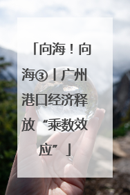 向海！向海③丨广州港口经济释放“乘数效应”