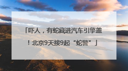 吓人，有蛇藏进汽车引擎盖！北京9天接9起“蛇警”