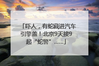 吓人，有蛇藏进汽车引擎盖！北京9天接9起“蛇警”……