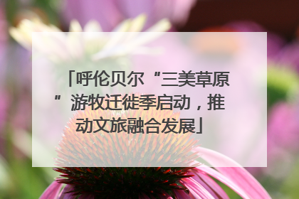 呼伦贝尔“三美草原”游牧迁徙季启动，推动文旅融合发展