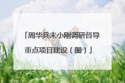 周华兵未小刚调研督导重点项目建设（图）