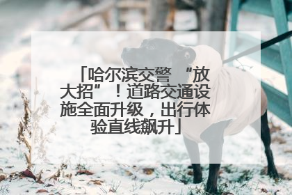 哈尔滨交警 “放大招”！道路交通设施全面升级，出行体验直线飙升