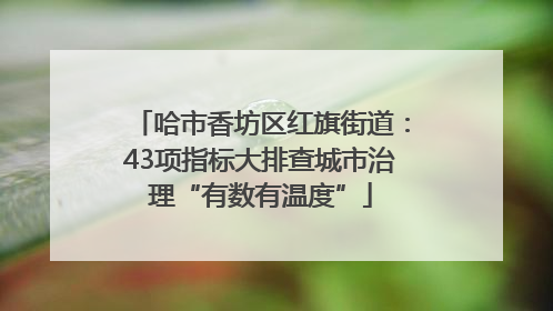 哈市香坊区红旗街道：43项指标大排查城市治理“有数有温度”