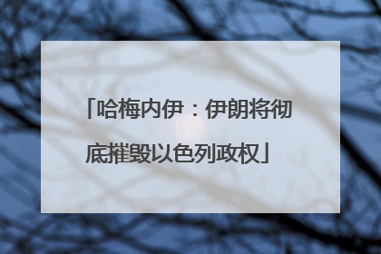 哈梅内伊：伊朗将彻底摧毁以色列政权