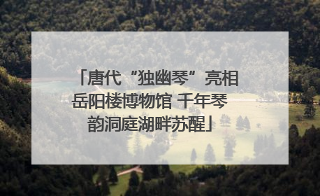 唐代“独幽琴”亮相岳阳楼博物馆 千年琴韵洞庭湖畔苏醒
