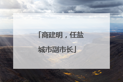 商建明，任盐城市副市长