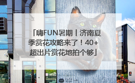 嗨FUN暑期丨济南夏季赏花攻略来了！40+超出片赏花地拍个够