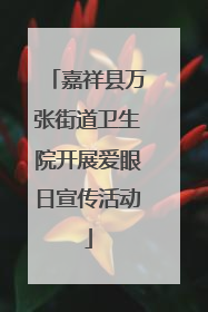 嘉祥县万张街道卫生院开展爱眼日宣传活动