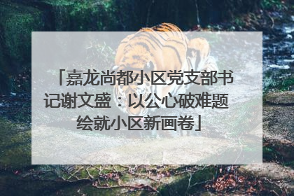 嘉龙尚都小区党支部书记谢文盛：以公心破难题 绘就小区新画卷
