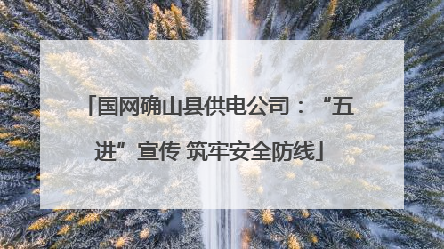 国网确山县供电公司：“五进”宣传 筑牢安全防线