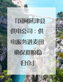 国网延津县供电公司：供电服务进麦田 确保夏粮稳归仓
