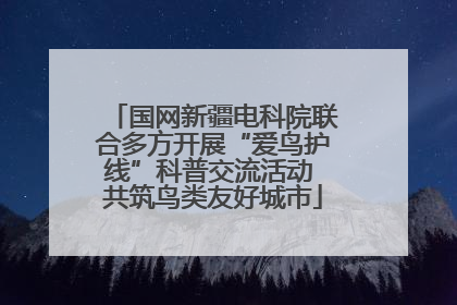 国网新疆电科院联合多方开展“爱鸟护线”科普交流活动 共筑鸟类友好城市
