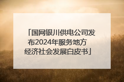国网银川供电公司发布2024年服务地方经济社会发展白皮书