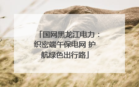 国网黑龙江电力：织密端午保电网 护航绿色出行路