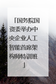 国务院国资委举办中央企业人工智能首席架构师特训班