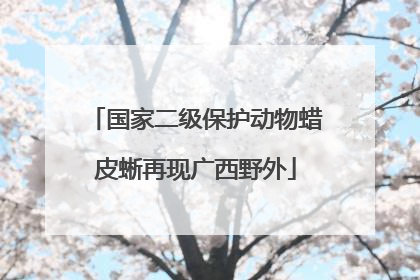 国家二级保护动物蜡皮蜥再现广西野外