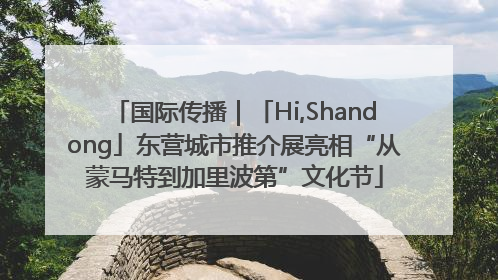 国际传播｜「Hi,Shandong」东营城市推介展亮相“从蒙马特到加里波第”文化节