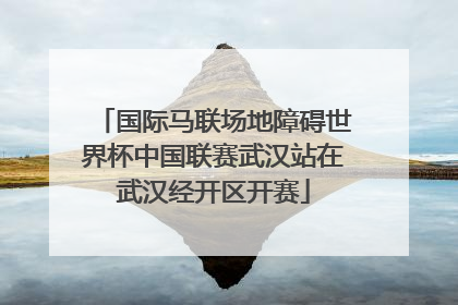 国际马联场地障碍世界杯中国联赛武汉站在武汉经开区开赛