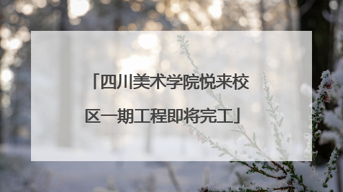 四川美术学院悦来校区一期工程即将完工