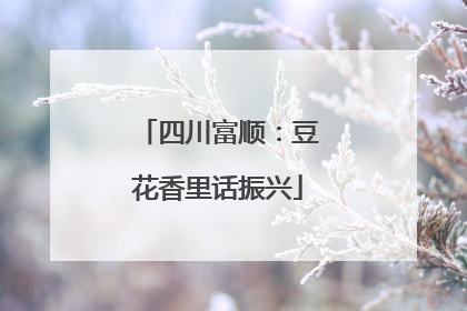 四川富顺：豆花香里话振兴