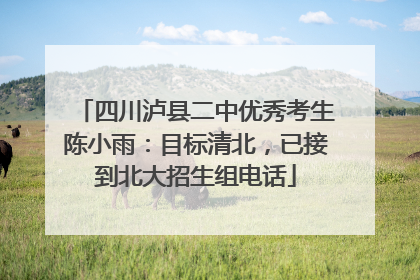 四川泸县二中优秀考生陈小雨：目标清北，已接到北大招生组电话