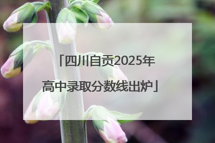 四川自贡2025年高中录取分数线出炉