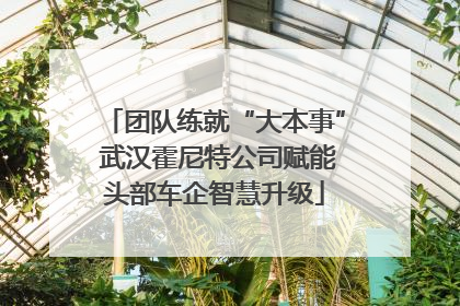 团队练就“大本事” 武汉霍尼特公司赋能头部车企智慧升级