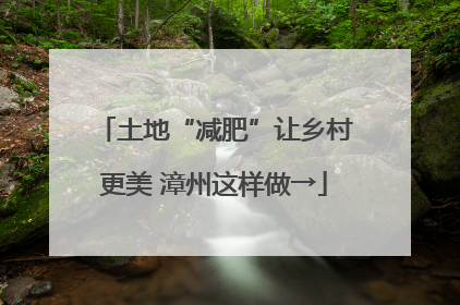 土地“减肥”让乡村更美 漳州这样做→