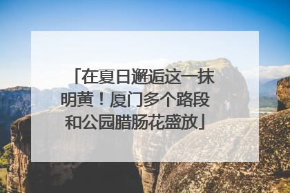 在夏日邂逅这一抹明黄！厦门多个路段和公园腊肠花盛放