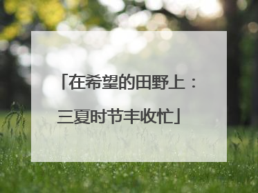 在希望的田野上：三夏时节丰收忙
